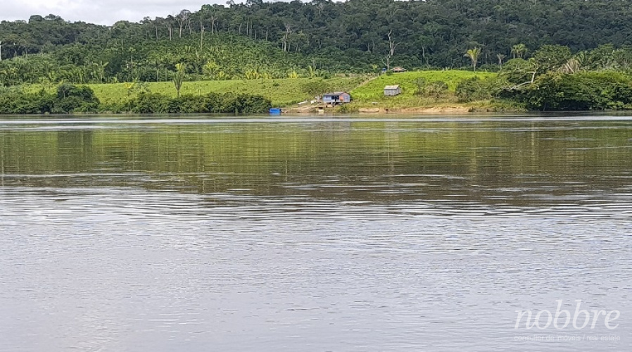 Fazenda para vender em Apuí e Jutaí - Amazonas - Pauini - Santo Antônio do Iça.